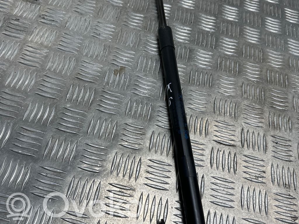 Jeep Compass Tailgate/trunk strut/damper 
