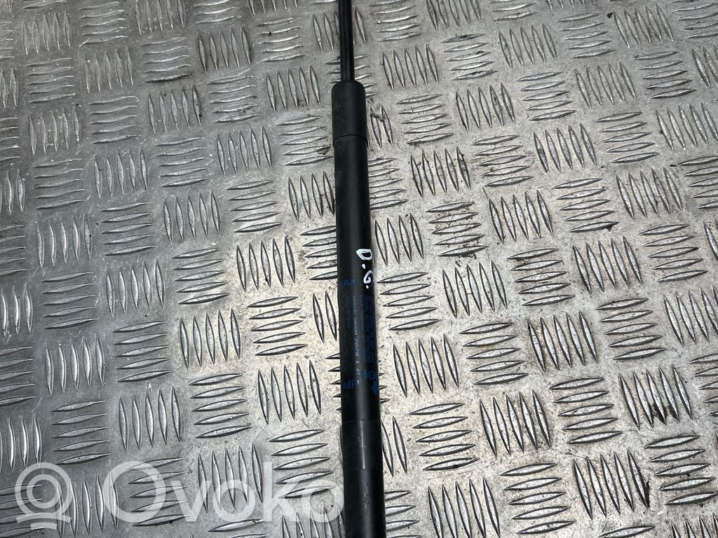 Jeep Compass Tailgate/trunk strut/damper 