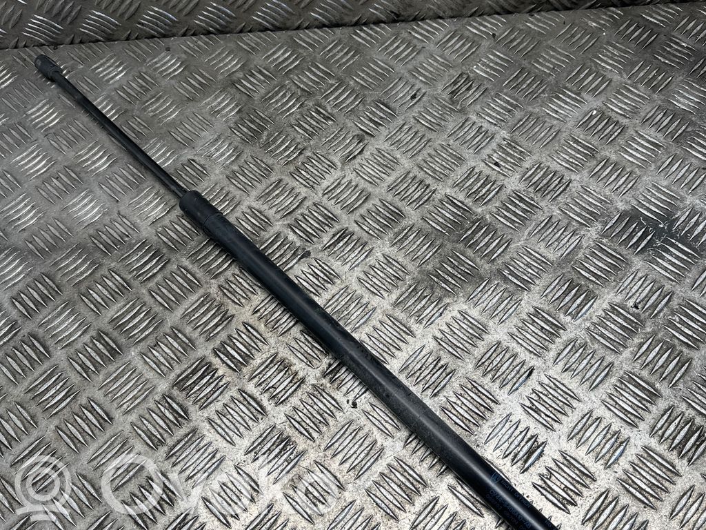 Ford Kuga II Tailgate/trunk strut/damper 