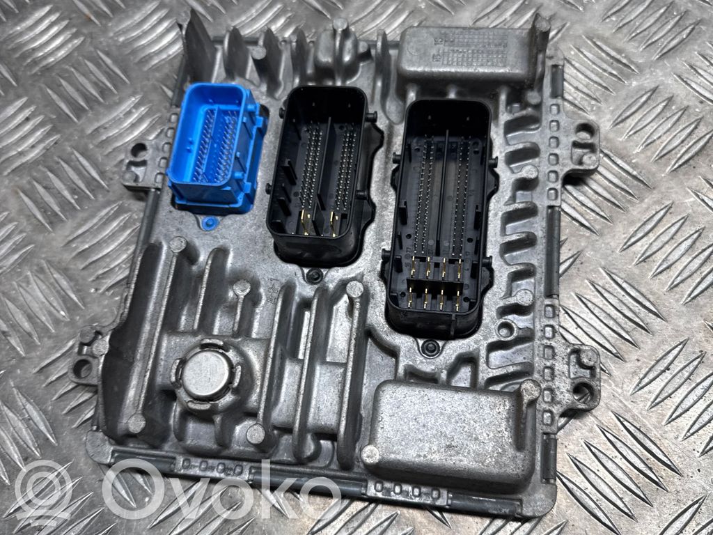 Engine control unit/module   55493025,395357783,1310101000000X