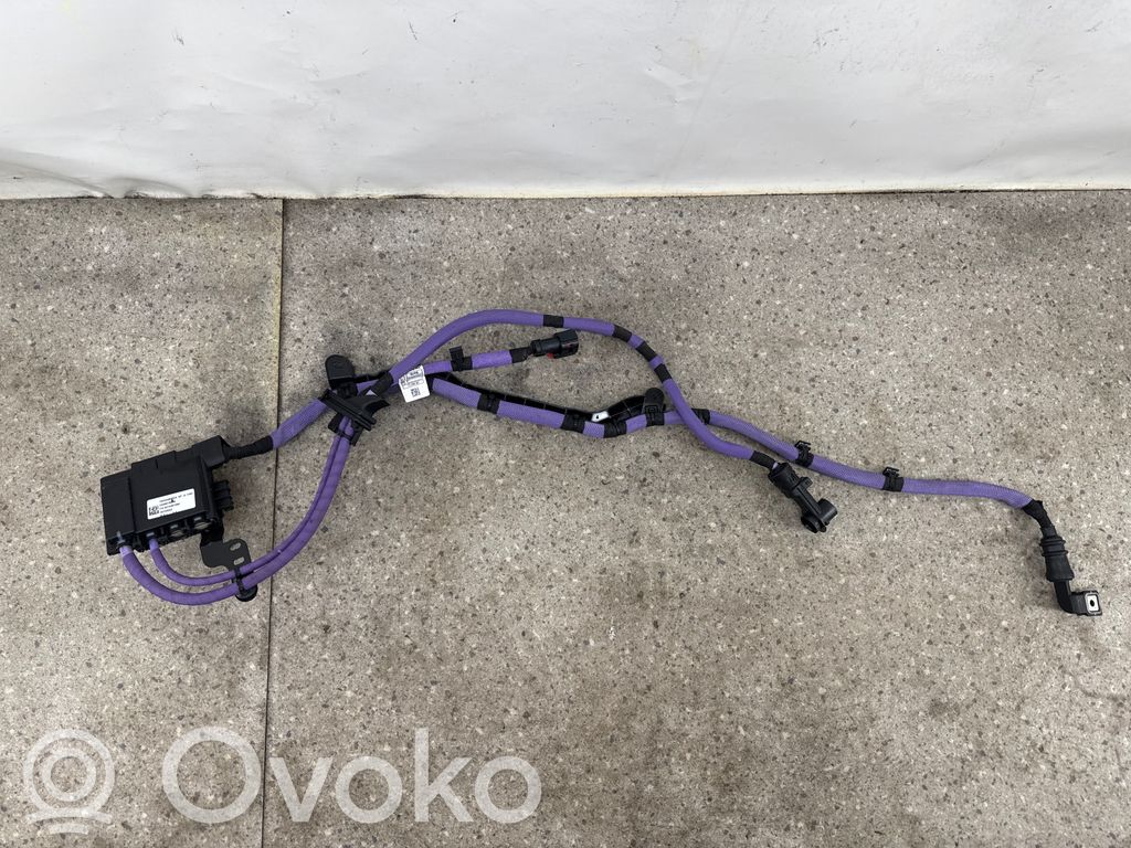 BMW X5 G05 Muut ohjainlaitteet/moduulit 