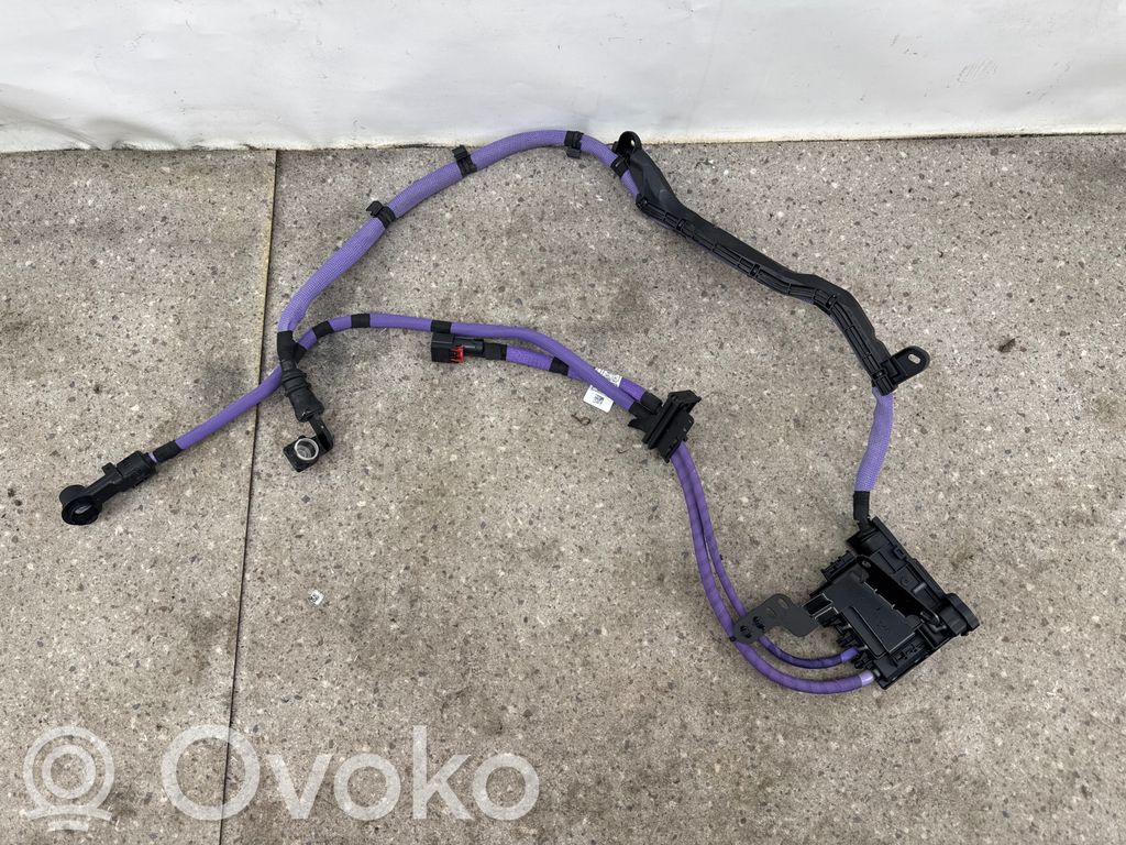 BMW X6 G06 Muut ohjainlaitteet/moduulit 