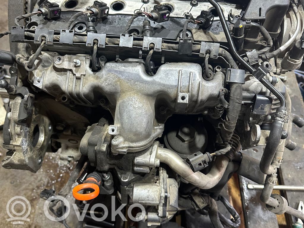 Volkswagen PASSAT B6 Moottori 