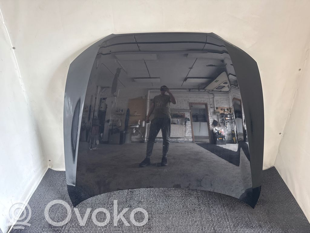 Dzinēja pārsegs (vāks)   LY9B