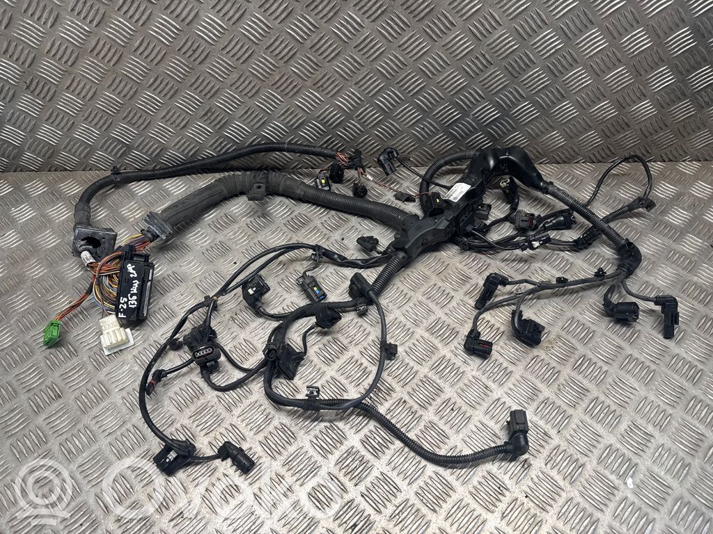 BMW X3 F25 Cablaj motor 