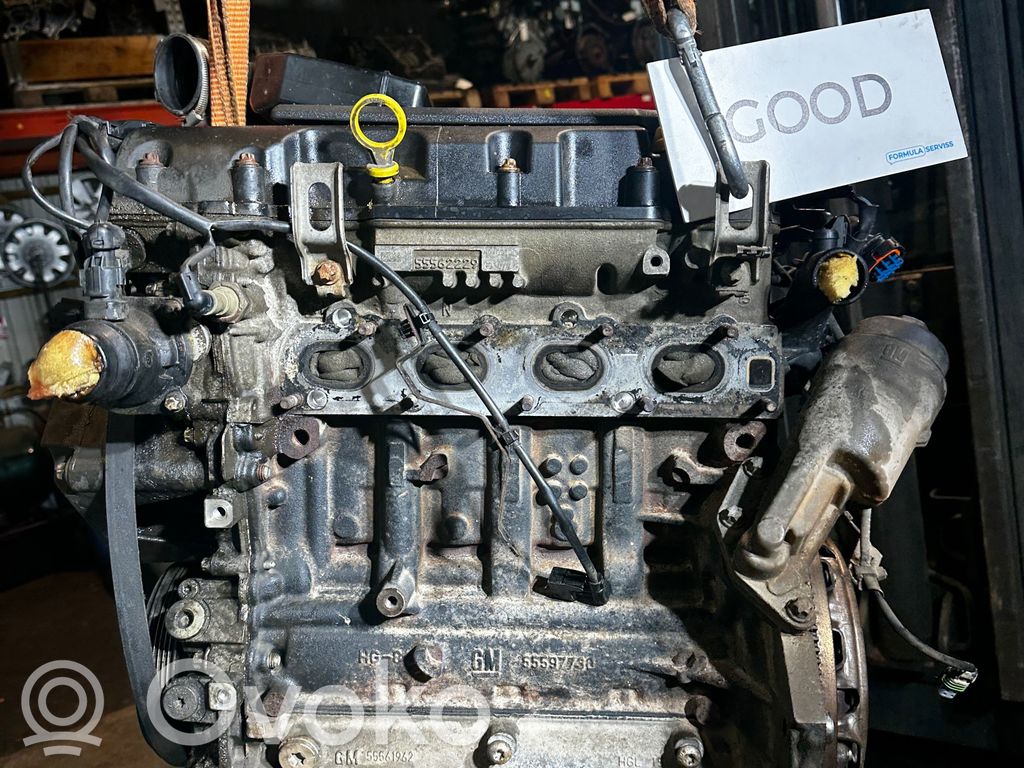 Variklis   LDD,Z30X