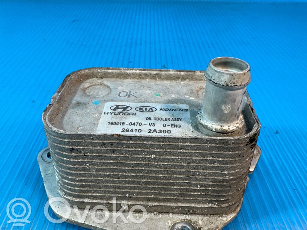 Ölkühler   264102A300,1604190470