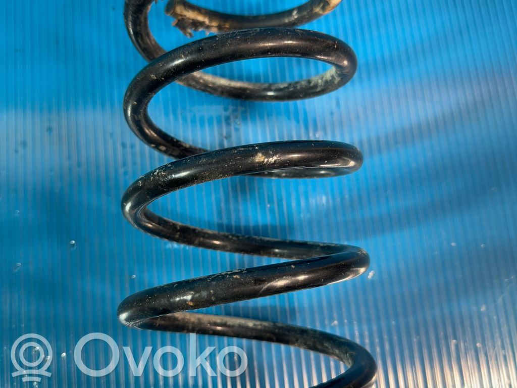 Rear coil spring