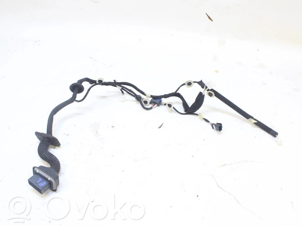 Other wiring loom   241254979R