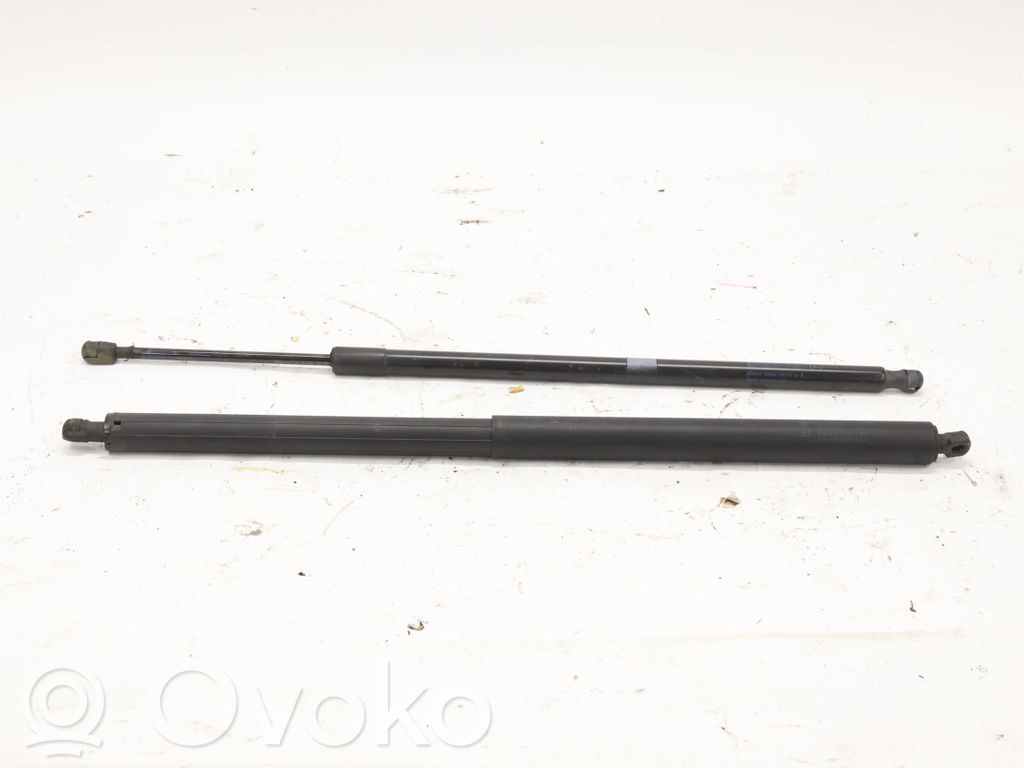 Ford S-MAX Tailgate strut 