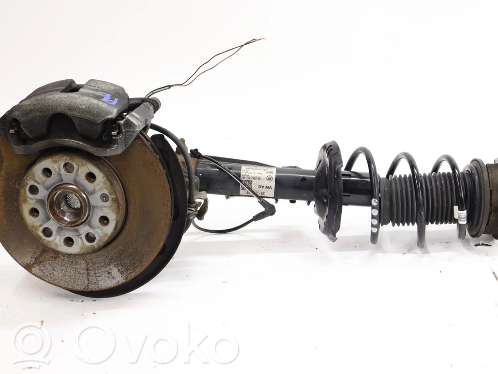 Rumba   5Q0255B