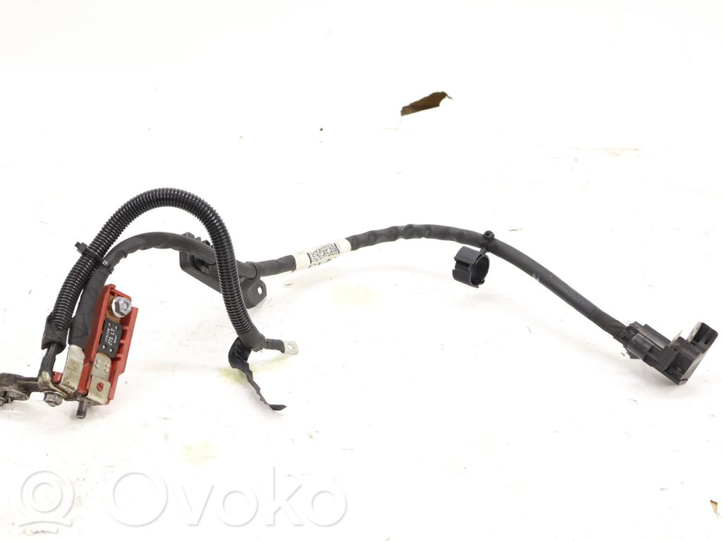 Ford Focus Otros cableados 