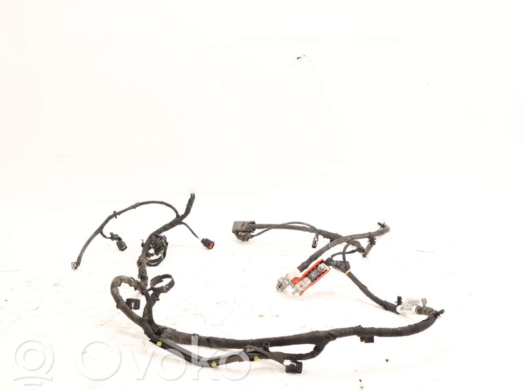 Ford Focus Otros cableados 