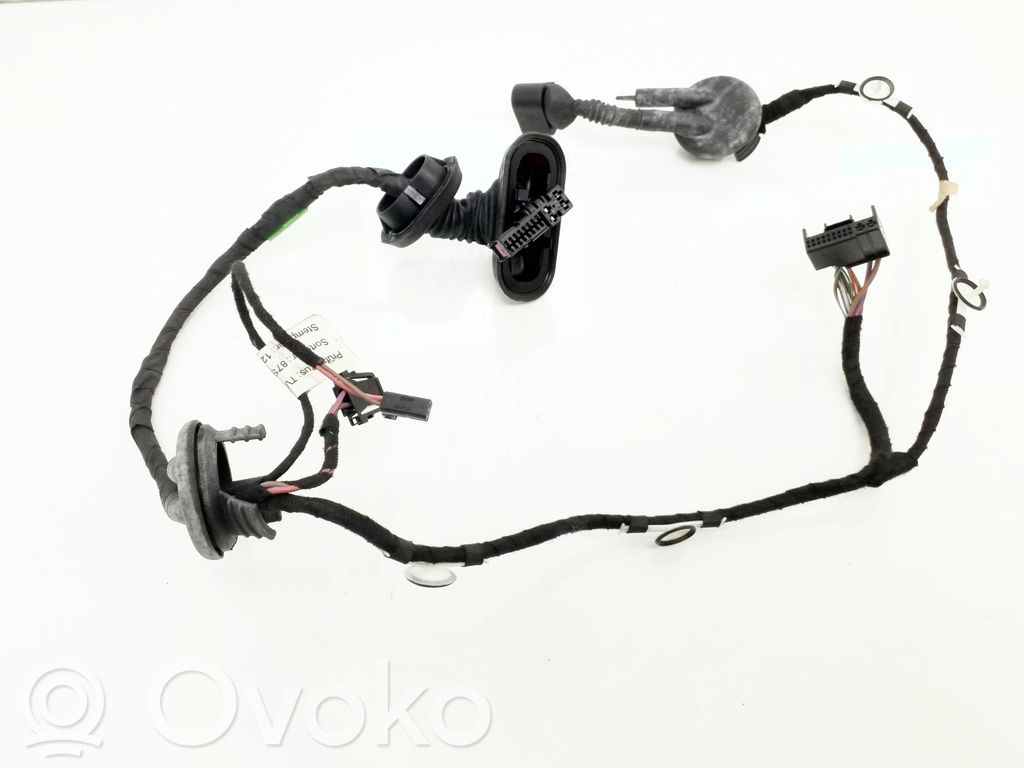 Audi A6 S6 C6 4F Cableado de puerta trasera 