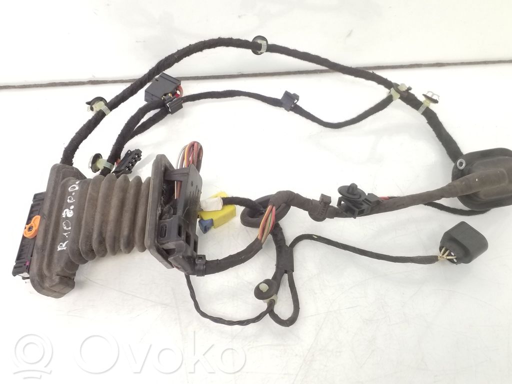 Volkswagen PASSAT B6 Wiązka przewodów drzwi przednich 