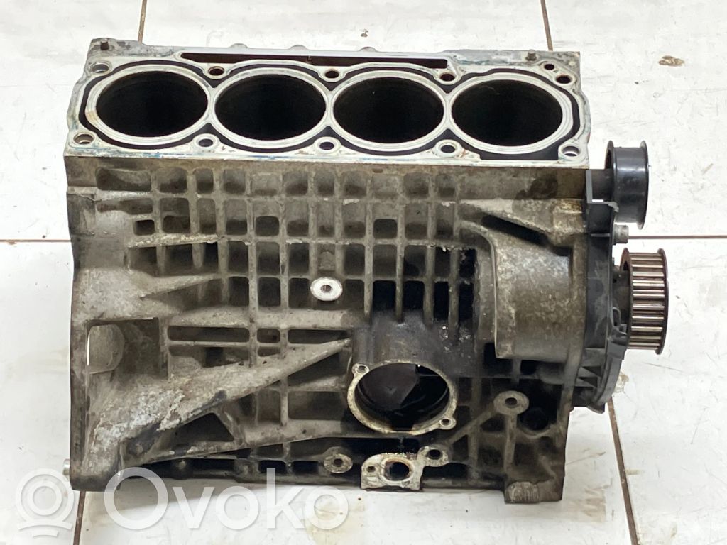 Volkswagen Golf V Bloque de motor 