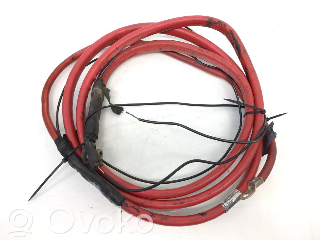 Positive cable (battery)   6927705,8365985