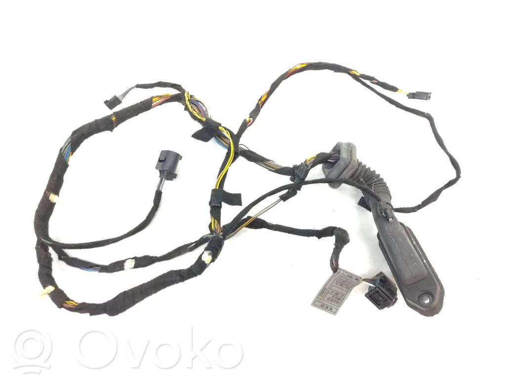 BMW X5 E53 Cableado de puerta trasera 
