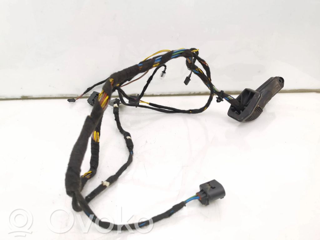 BMW X5 E53 Cableado de puerta trasera 
