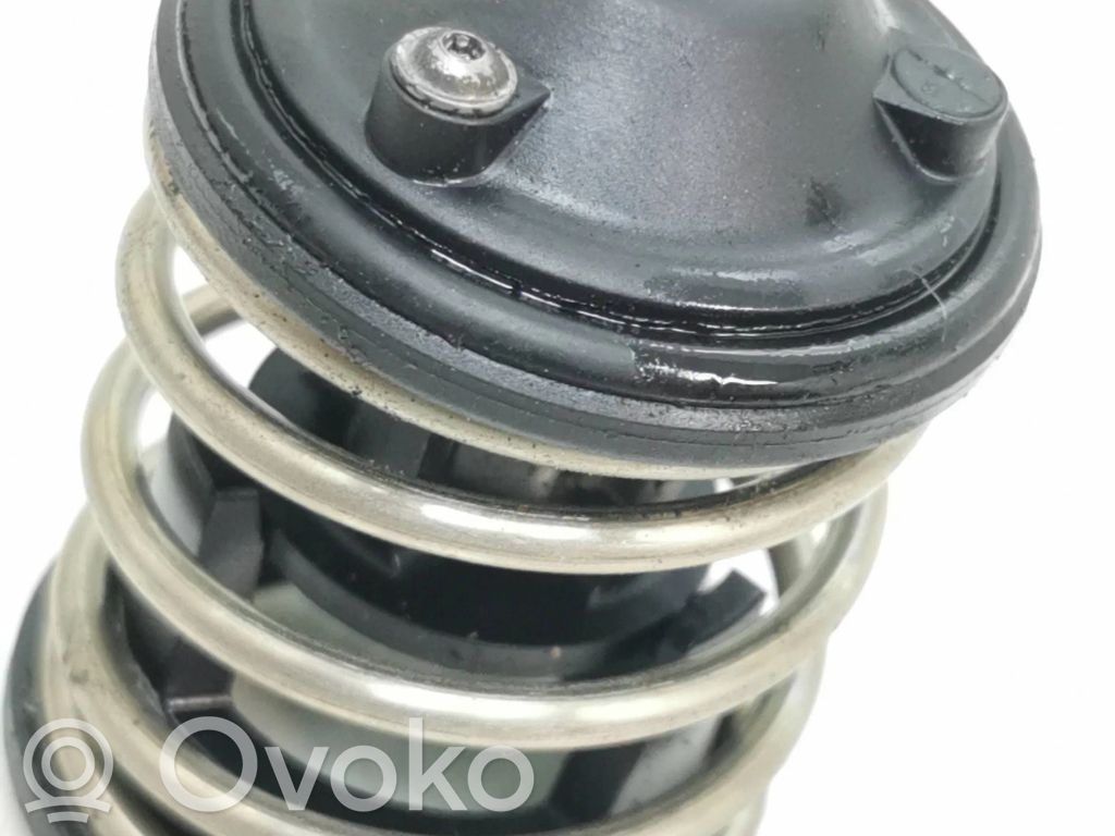 Termostat   410712,250610