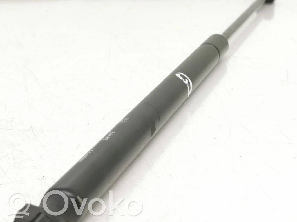 Tailgate/trunk strut/damper   24465,18F291