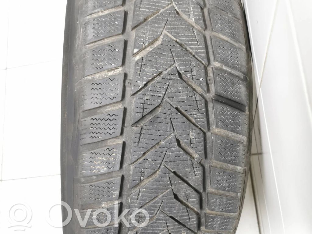BMW 5 E60 E61 R17 winter tire 
