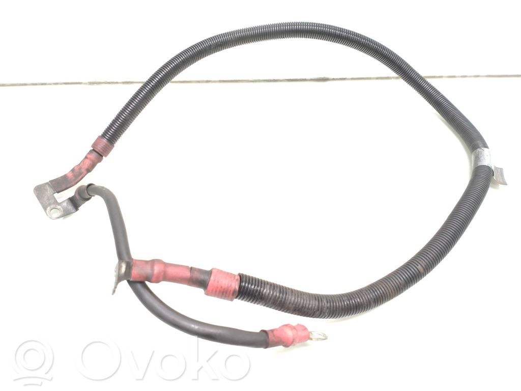 Plusa vads (akumulatora)   7804126