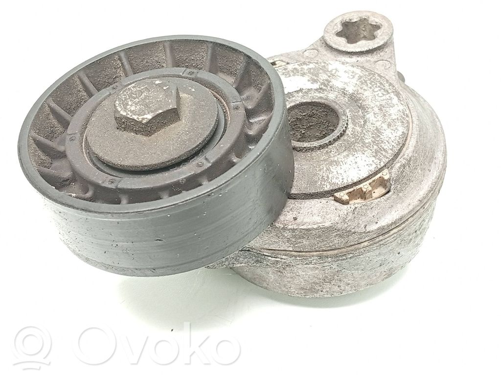 Volvo S80 Tendicinghia generatore/alternatore 