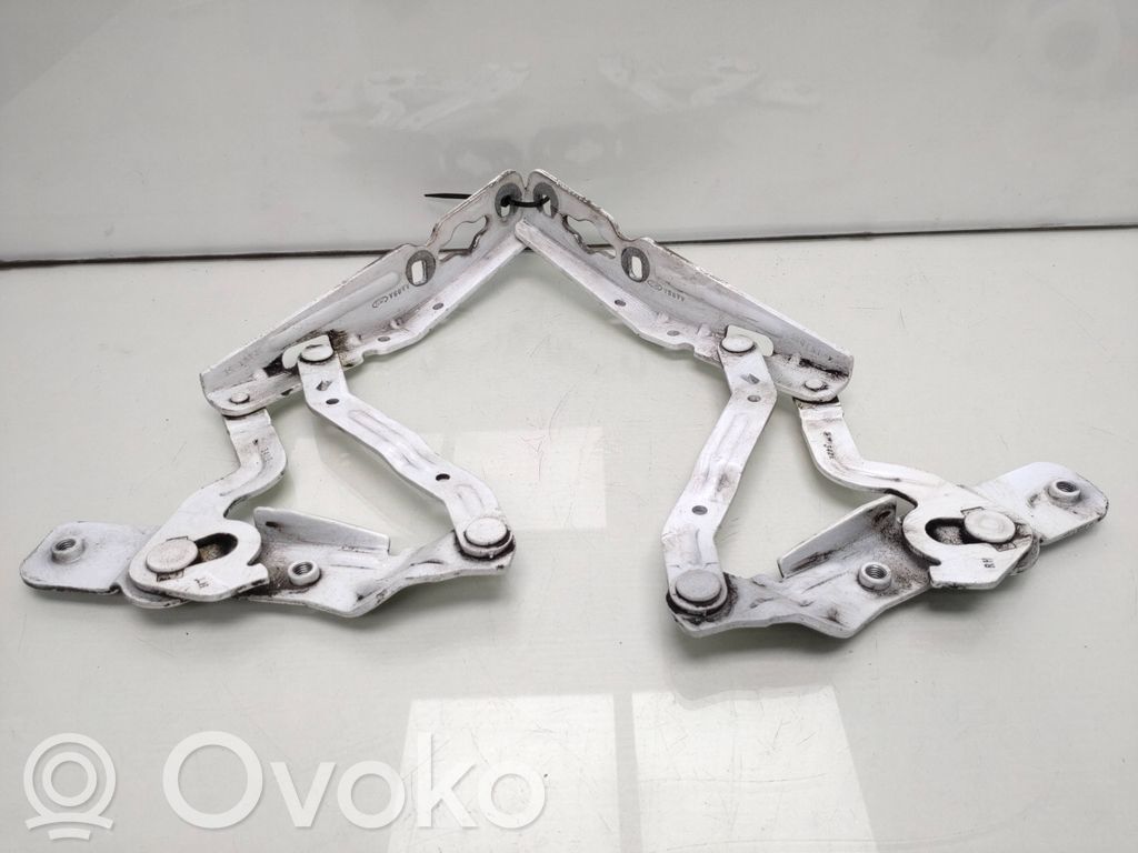 Ford Transit -  Tourneo Connect Cerniere del vano motore/cofano 