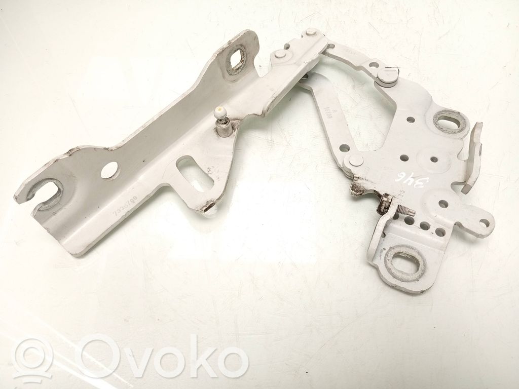 BMW 1 F20 F21 Balamale capotă 