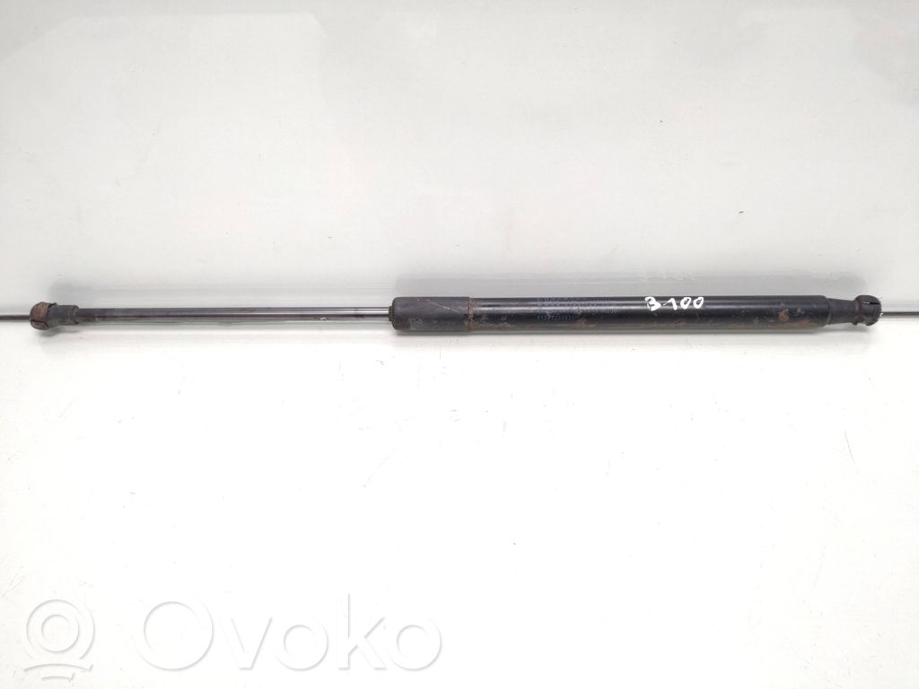 BMW 1 F20 F21 Ammortizzatore portellone posteriore/bagagliaio