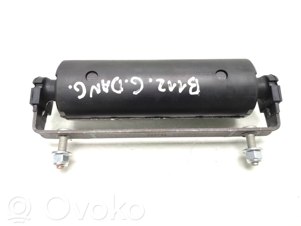 Ford Mustang Mach-E Tailgate strut 