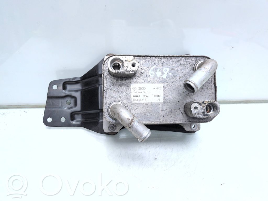 Volkswagen Phaeton Mocowanie / uchwyt filtra oleju 