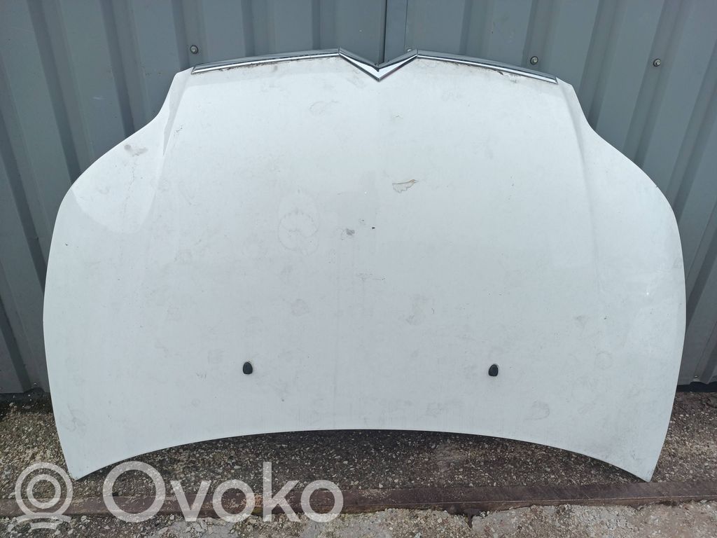 Engine bonnet/hood