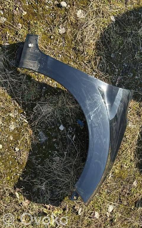 Guardabarro   00