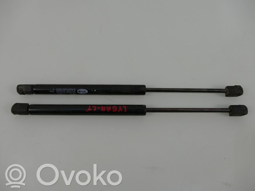 Tailgate strut   GS0301