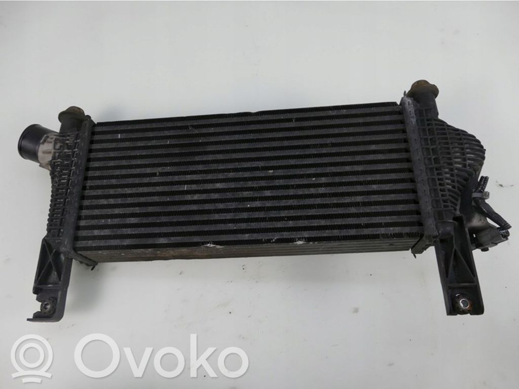 Intercooler radiator   144615X00A