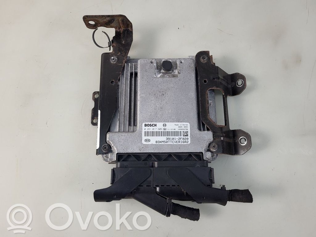 Engine control unit/module   391012F020