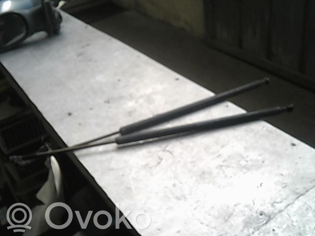 Tailgate/trunk strut/damper   51247069907