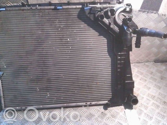 Coolant radiator   17119071519