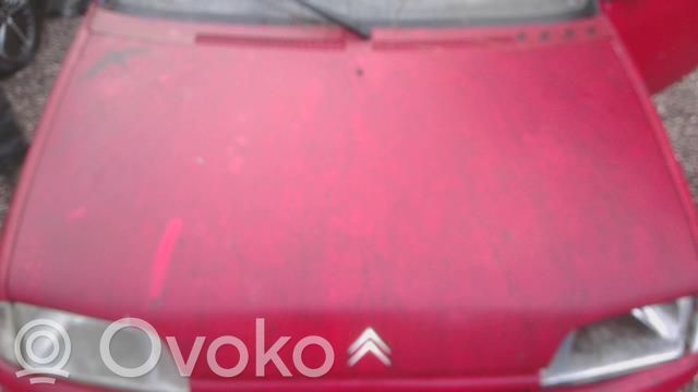 Dzinēja pārsegs (vāks)   7901F4