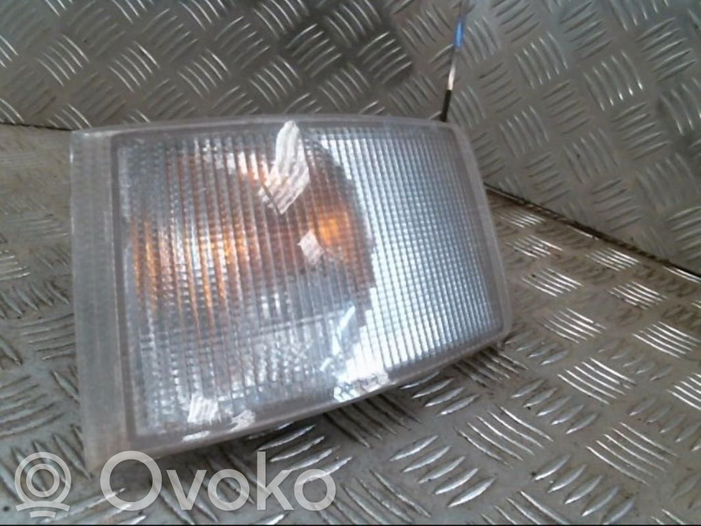 Fiat Ducato Seitenblinker 