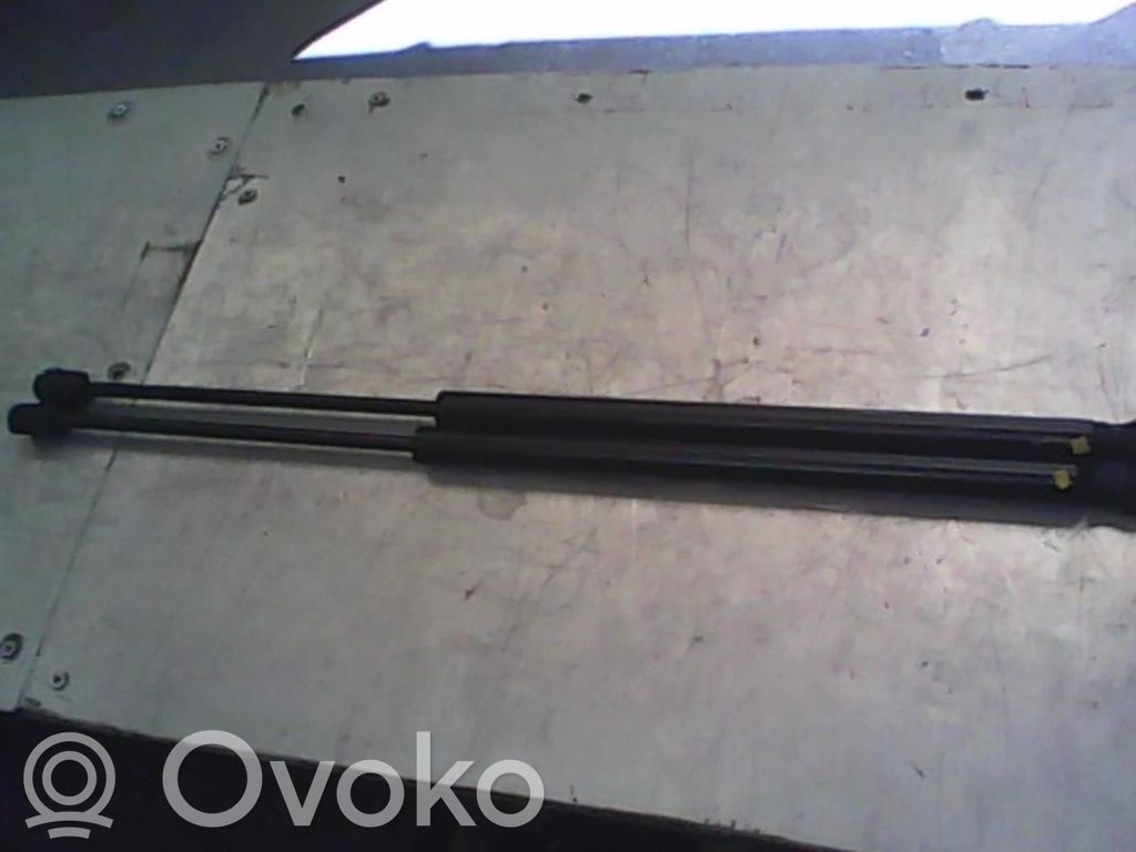 Ford Focus Tailgate/trunk strut/damper 