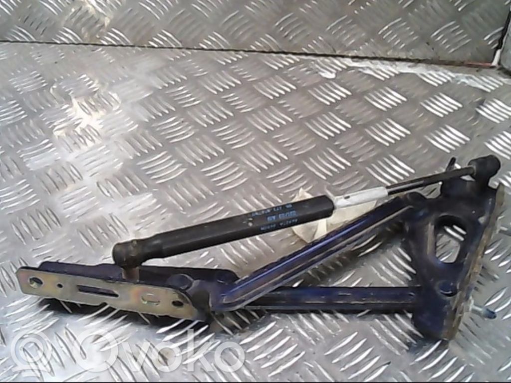 Peugeot 407 Balamale capotă 