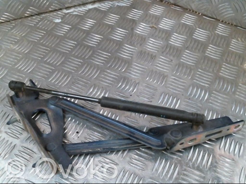 Peugeot 407 Balamale capotă 
