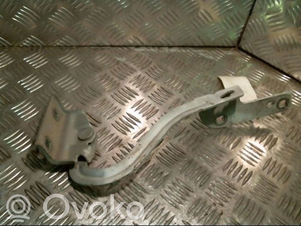 Renault Modus Dzinēja pārsega eņģe (-es) 