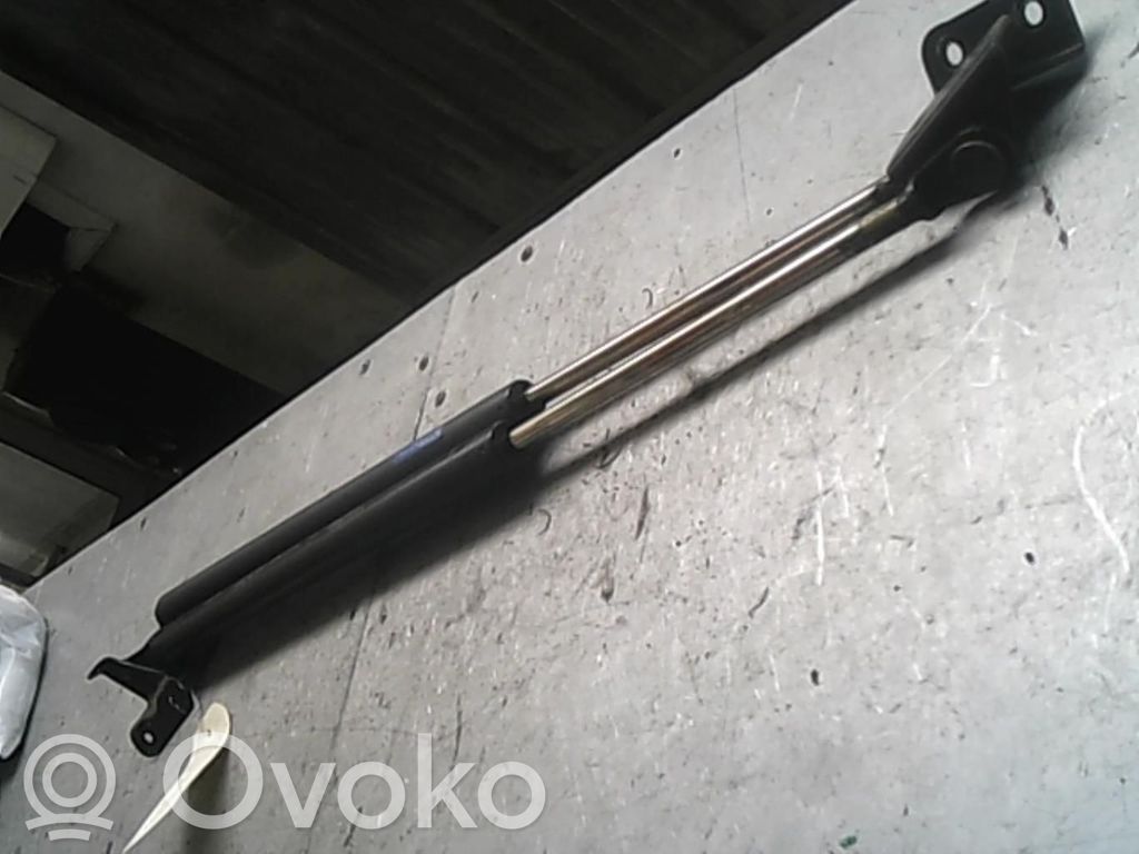 Suzuki Wagon R+ Tailgate/trunk strut/damper 