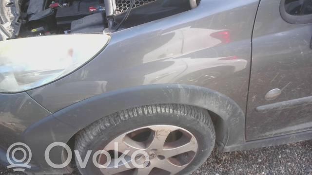Peugeot 207 Guardabarro 