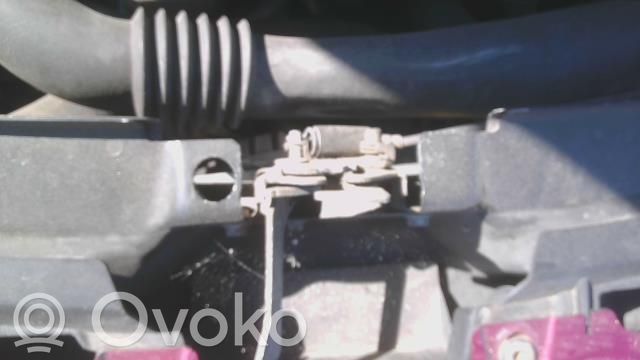 Ford Ka Spyna variklio dangčio 