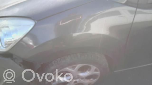 Citroen C3 Sparnas 